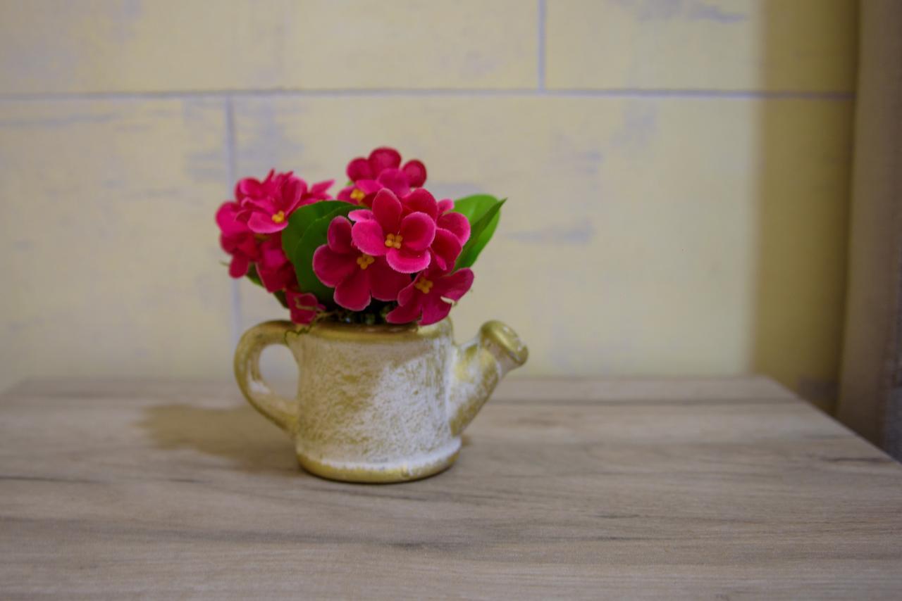 Apartman Dijana Kotor Buitenkant foto